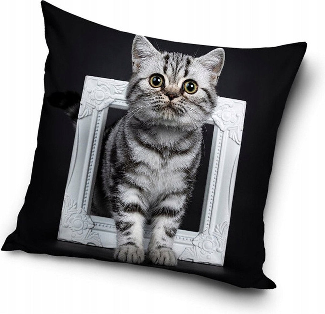 Katten, Schattige kitten 40 x 40 kussensloop